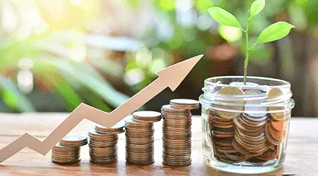 the self sufficient backyard