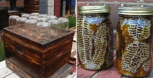 Wooden beehive box beside jars of fresh honeycomb from backyard beekeeping
